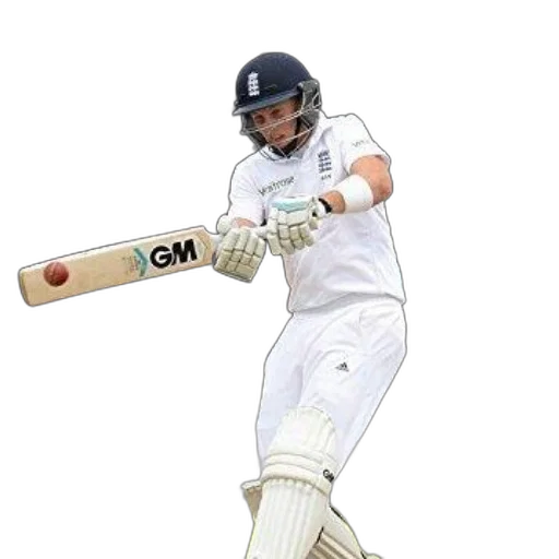 cricket, annual, 2015, book transparent PNG cut-out