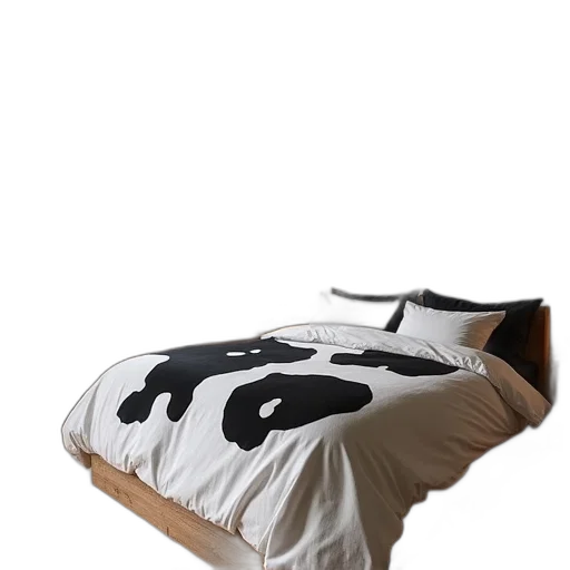 furniture, shoes, animal, hat transparent PNG cut-out