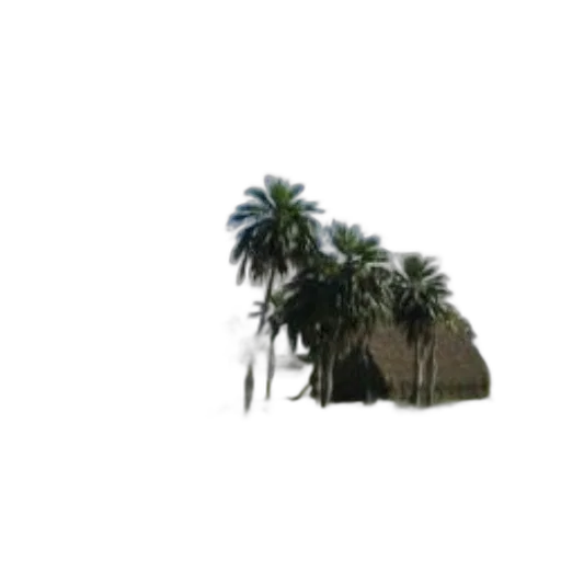 tree, umbrella, building, hat transparent PNG cut-out