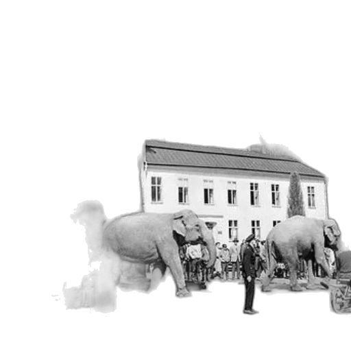 animal, building, concept art, pencil sketch transparent PNG cut-out