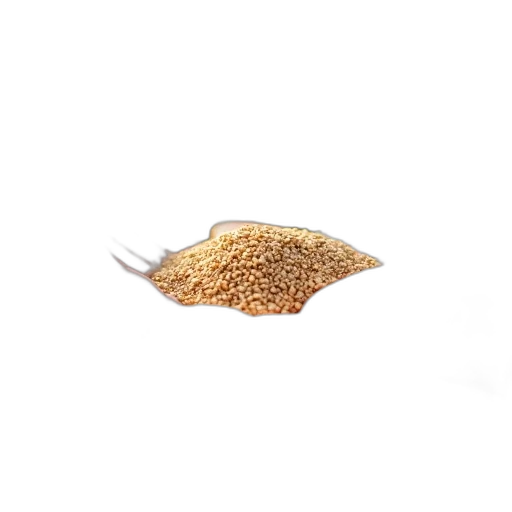 food, hair, jewelry, animal transparent PNG cut-out