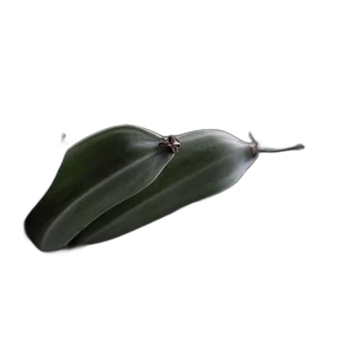 weapon, food, jewelry, flower transparent PNG cut-out