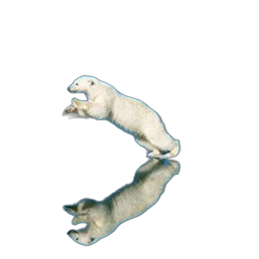 animal, creature, jewelry, staff transparent PNG cut-out
