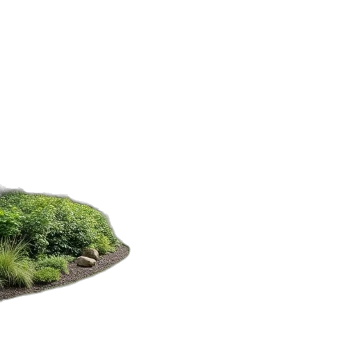tree, hat, hair, bottle transparent PNG cut-out