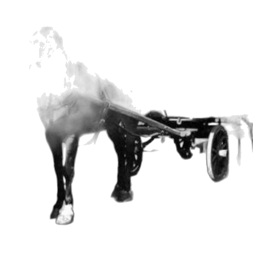robot, animal, weapon, car transparent PNG cut-out