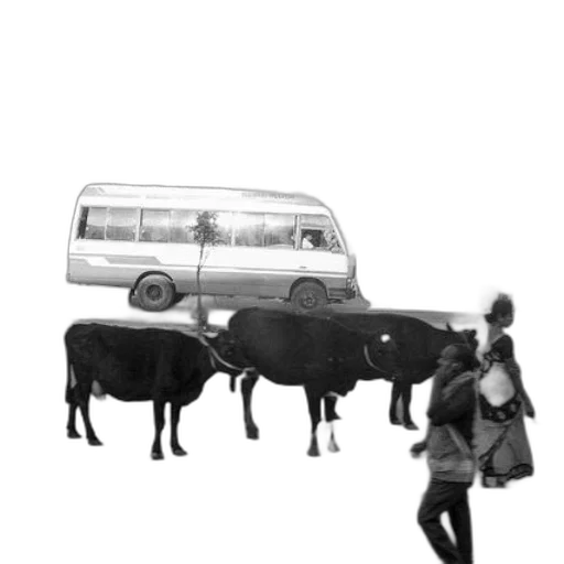car, animal, robot, staff transparent PNG cut-out