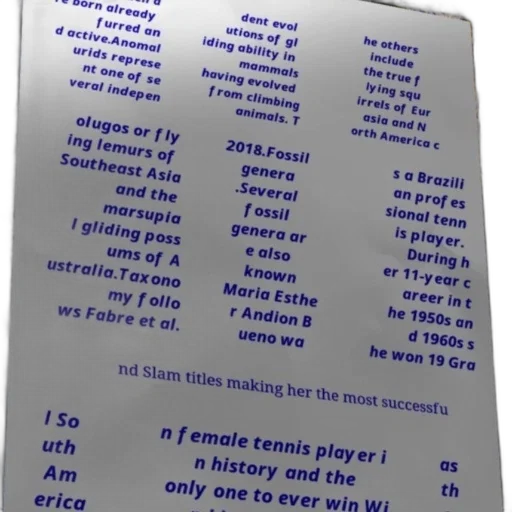 furniture, poster, text, about transparent PNG cut-out
