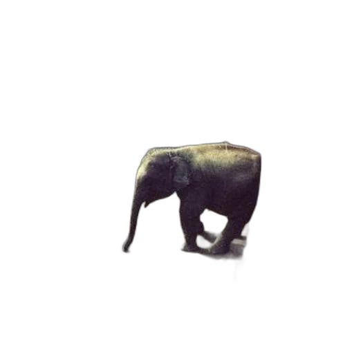 animal, creature, weapon, staff transparent PNG cut-out