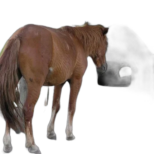 animal, creature, mask, dragon transparent PNG cut-out