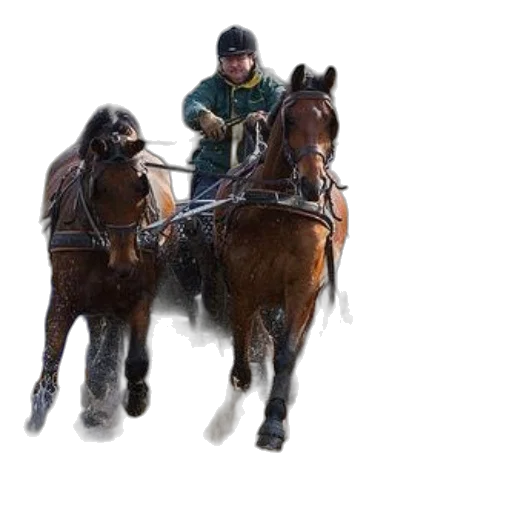 concept art, photorealistic, fantasy art, person transparent PNG cut-out