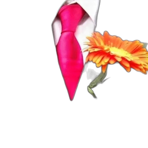 flower, umbrella, jewelry, shoes transparent PNG cut-out