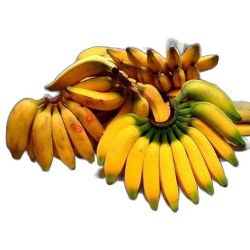 flower, crown, food, jewelry transparent PNG cut-out