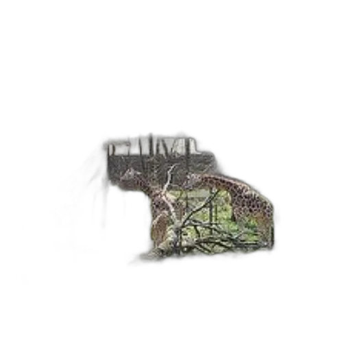 weapon, hat, hair, animal transparent PNG cut-out
