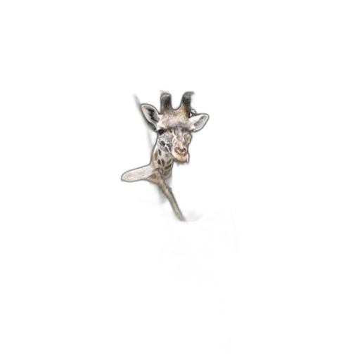 jewelry, crown, dragon, staff transparent PNG cut-out