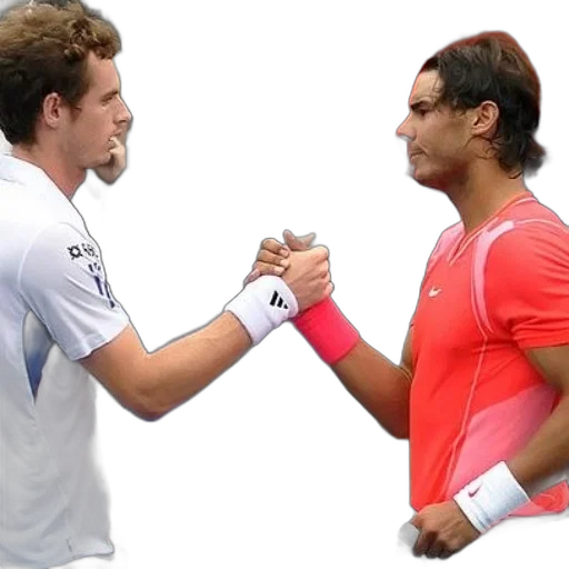 two, tennis, players, shaking transparent PNG cut-out