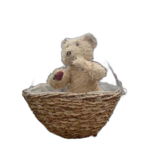 3d render, teddy, bear, sits transparent PNG cut-out