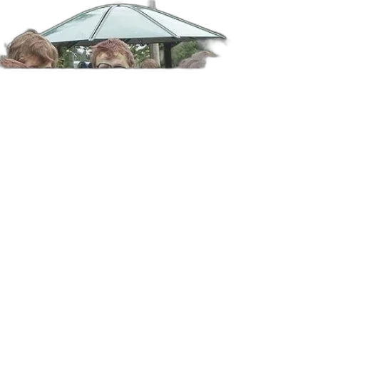 umbrella, hat, staff, mask transparent PNG cut-out