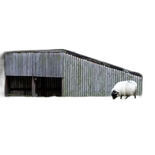 building, animal, furniture, food transparent PNG cut-out
