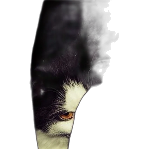 mask, creature, face, shoes transparent PNG cut-out