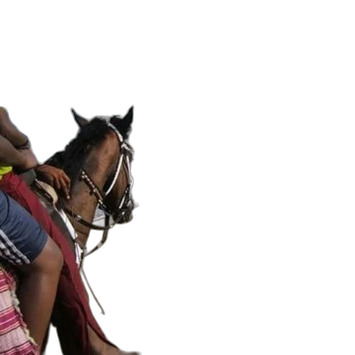 photorealistic, 3d render, person, rides transparent PNG cut-out