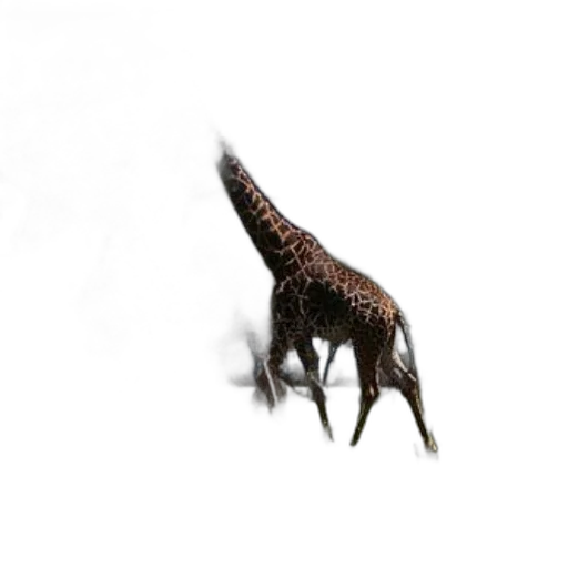 animal, creature, dragon, staff transparent PNG cut-out