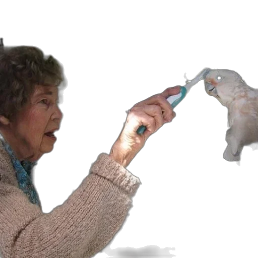 weapon, animal, bottle, creature transparent PNG cut-out