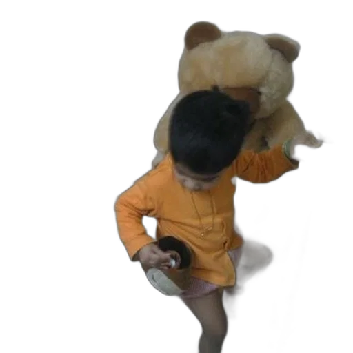 jacket, creature, animal, staff transparent PNG cut-out