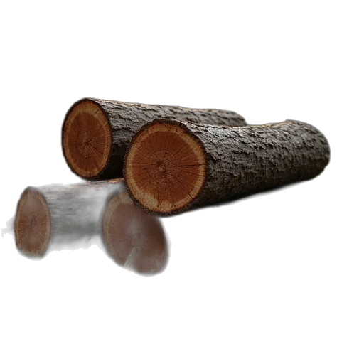 tree, food, weapon, hair transparent PNG cut-out