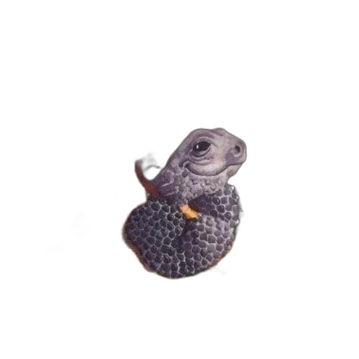 animal, dragon, jewelry, hat transparent PNG cut-out