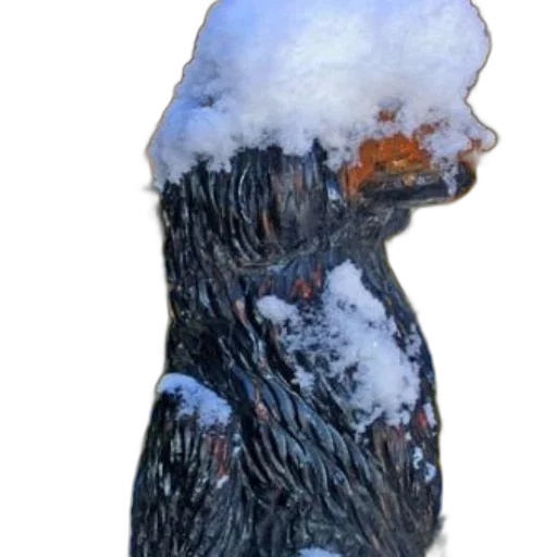 mask, tree, face, crown transparent PNG cut-out