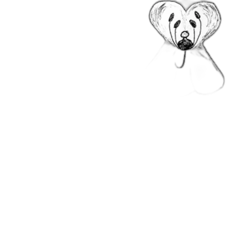 flower, jewelry, mask, animal transparent PNG cut-out
