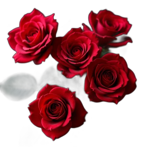 flower, jewelry, crown, photorealistic transparent PNG cut-out