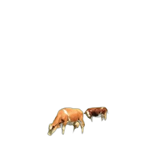 animal, creature, furniture, food transparent PNG cut-out