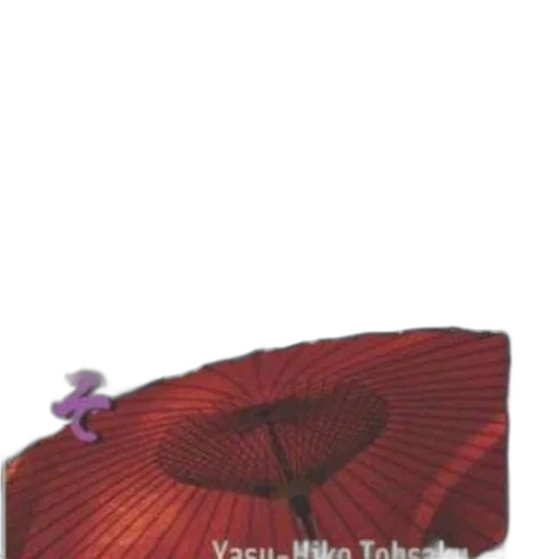 umbrella, hat, flower, mask transparent PNG cut-out