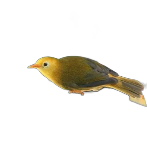 animal, staff, food, creature transparent PNG cut-out