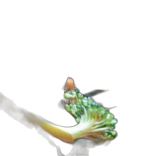 dragon, staff, creature, weapon transparent PNG cut-out