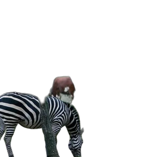 animal, creature, robot, hair transparent PNG cut-out