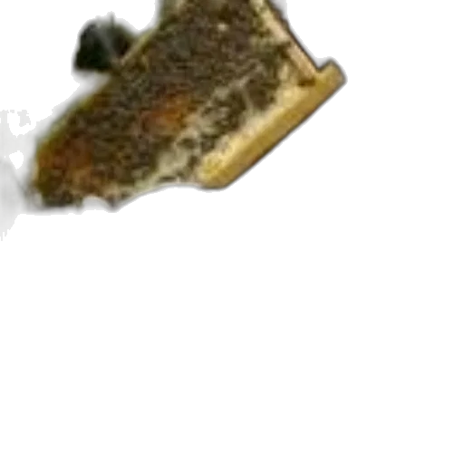 food, crown, weapon, animal transparent PNG cut-out