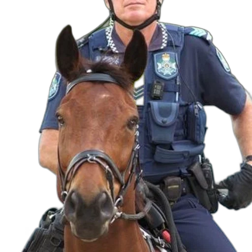 staff, animal, face, mounted transparent PNG cut-out