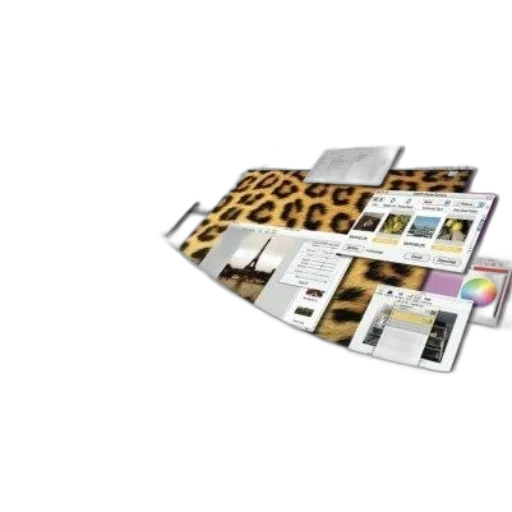 furniture, animal, shoes, building transparent PNG cut-out