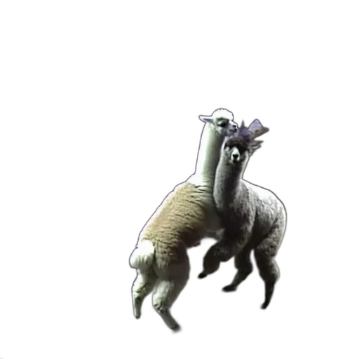 animal, creature, dragon, staff transparent PNG cut-out