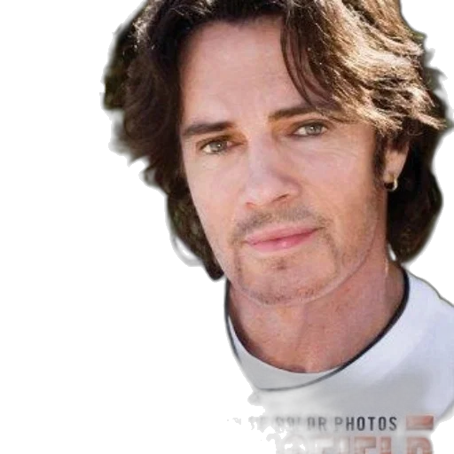 hair, face, robot, animal transparent PNG cut-out