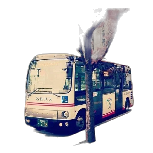 staff, umbrella, weapon, animal transparent PNG cut-out