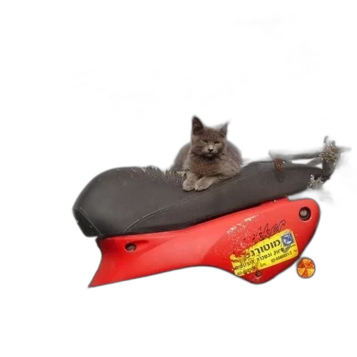 shoes, weapon, staff, animal transparent PNG cut-out