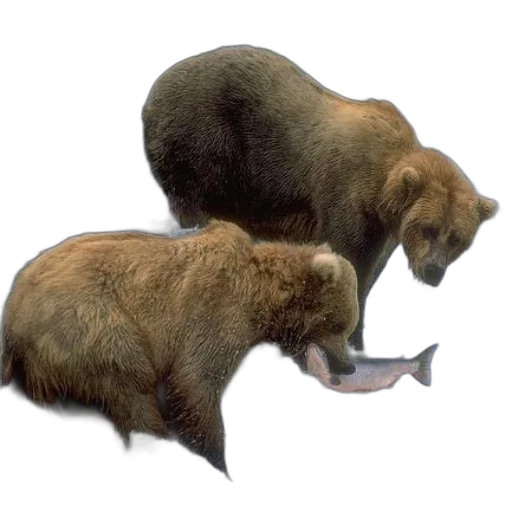 animal, creature, concept art, 3d render transparent PNG cut-out