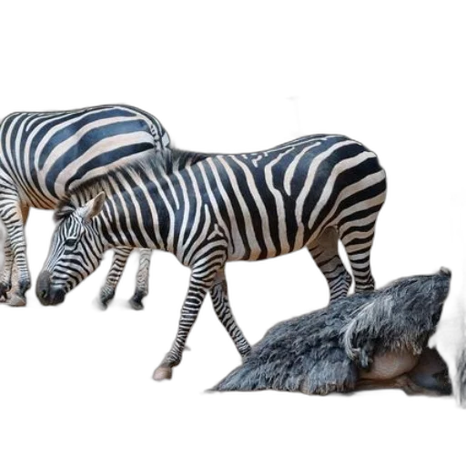 animal, creature, 3d render, concept art transparent PNG cut-out
