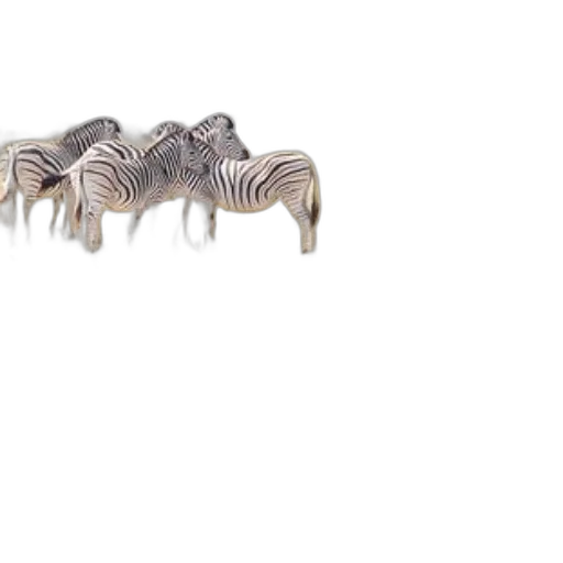 jewelry, furniture, animal, hair transparent PNG cut-out