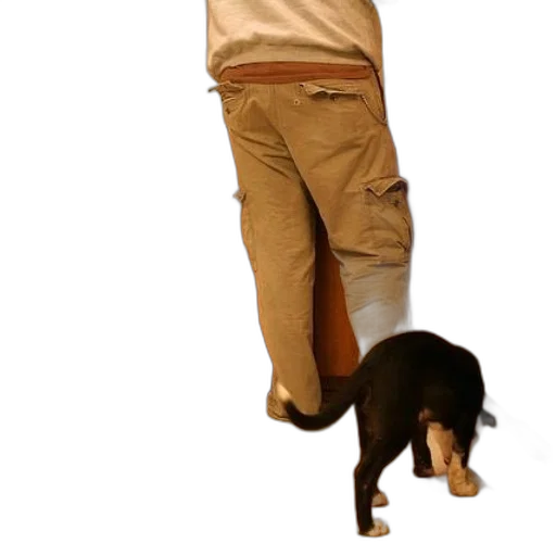staff, animal, jacket, creature transparent PNG cut-out