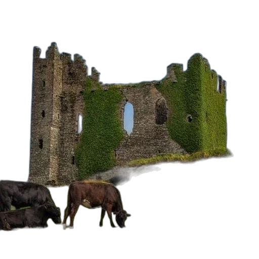 building, animal, crown, dragon transparent PNG cut-out