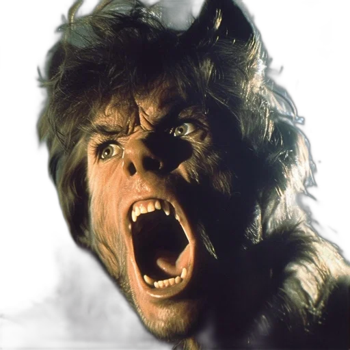 animal, creature, face, photorealistic transparent PNG cut-out